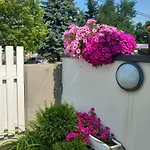 In - Balaton 48116 Apartment *