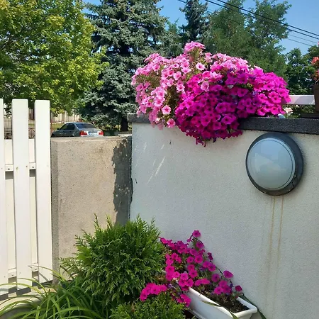 In - Balaton 48116 Apartman *